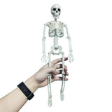 Active Human Model skeleto Anatomy Skeleton Skeleton Model Medical Learning Halloween Party Decoration Skeleton Art Sketch 1 Pcs