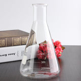 500ml Glass Erlenmeyer Flask Groud Joints 24/29 Laboratory Triangle Flasks