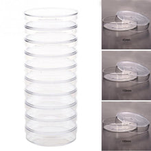 Load image into Gallery viewer, 10Pcs/Set 60mm Polystyrene Petri Dishes Affordable For Cell Clear Sterile Chemical Instrument Drop Shipping
